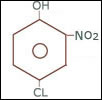4 - Chloro - 2 - Nitro - Phenol